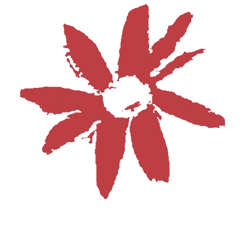 Sticker by Gidget Foundation Australia