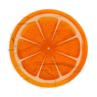 Orange Slice Sticker by Extrafruti