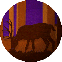 Taylor Hanson Animation Sticker by HANSON