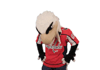 Ice Hockey Sport Sticker by NHL