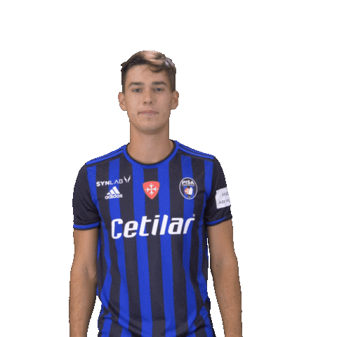 Pisa Celebrating Sticker by 21BE