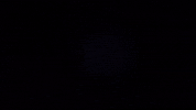 News Crypto GIF by Spaziocrypto