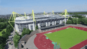 signal iduna park football GIF by Bundesliga