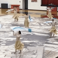 SpintronixGuard flag colorguard wgi winterguard GIF