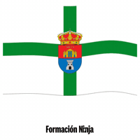 Bandera Andalucia GIF by Formación Ninja