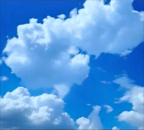 Video gif. Senior woman holds a phone up to her ear and says, "That's baloney!" with an assured expression. Behind her, a graphic of baloney spins in a circle against a cloudy blue sky. 