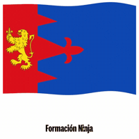 Bandera Teruel GIF by Formación Ninja