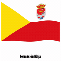Castilla-La Mancha Flag GIF by Formación Ninja