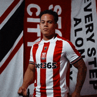 StokeCityFC stoke stoke city manhoef million manhoef GIF