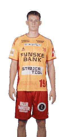 Celebration Handball Sticker by GOG Sport