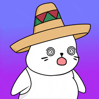 Fun Wow GIF by Sappy Seals Community