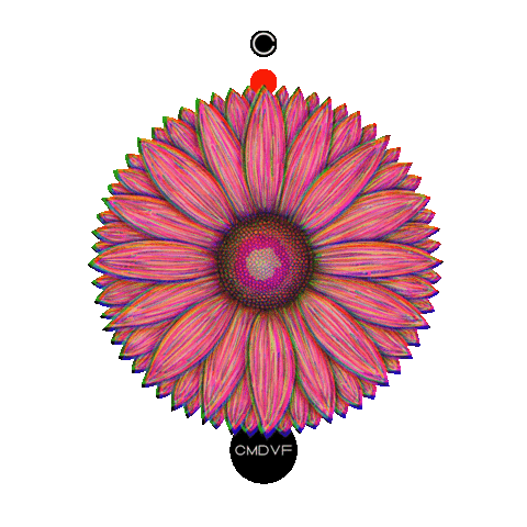 cmdvf giphyupload art pink flower Sticker