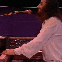 Concert Keyboard GIF by Gentle Giant Band