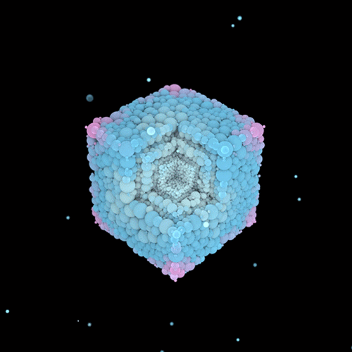 animation art GIF by Alastair Gray