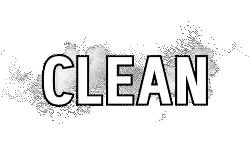Steam Cleaning Sticker by WAGNER