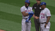 Major League Baseball Sport GIF by MLB