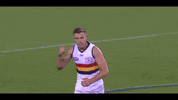 afl seedsman GIF by Adelaide Crows