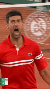 Screaming Novak Djokovic GIF by namslam