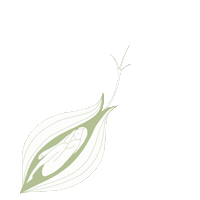 Ilpoteredelladesso Sticker