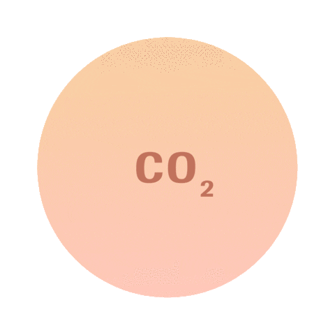 officialroche giphyupload nature world together Sticker