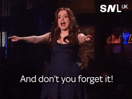 Snl Dont You Forget It GIF by Sky