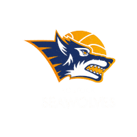 Basketball Sticker by Rostock Seawolves