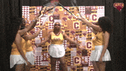 Wten GIF by CUCougars