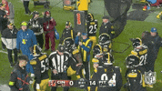 National Football League GIF by NFL