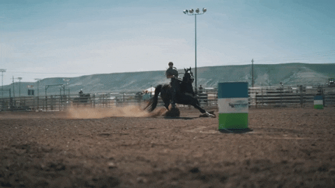 Cavenders giphygifmaker horse cowgirl rodeo GIF