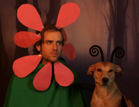 Flower And Pollinator