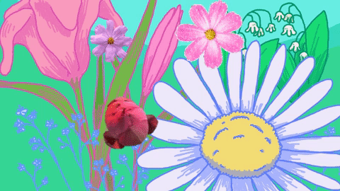 open and close flower GIF