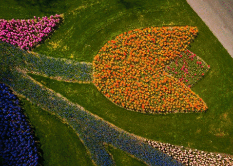 valiecevennes giphygifmaker GIF