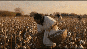Music Video Wisdom GIF by Catāli
