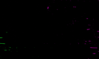 bemorepirate GIF