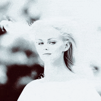 Icon GIF