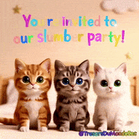 Sleep Over Made In Canada GIF by TresorsDuMonde.ca