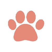 Cat Power Sticker by ziggy_family