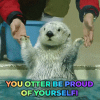 Ought-to-be-proud GIFs - Get the best GIF on GIPHY