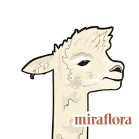 Alpaca Explorer Sticker by Miraflora.co