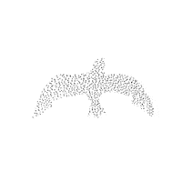 Bird Sticker by Manon Louart