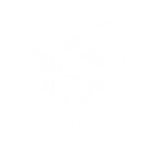 Icon Helmet Sticker by Ride TSG