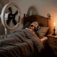 In Bed Sleeping GIF