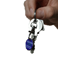 Keys Sticker by Salcedo & Company