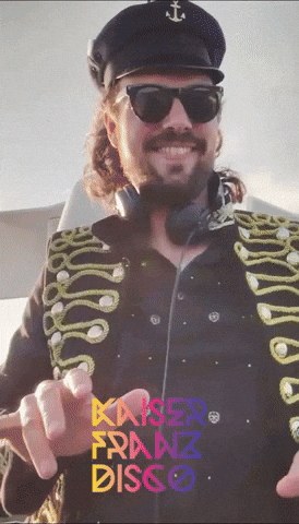 kaiser_franz_disco giphyupload music dj house GIF
