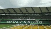 Jonas Wind GIF by VfL Wolfsburg