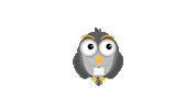 akademilive bird birds online education e learning Sticker