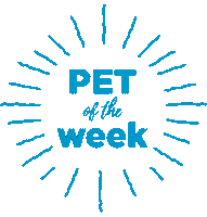 Pet Adoption Sticker by Helen Woodward Animal Center