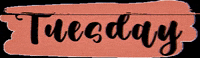 Mackerita tuesday mackerita GIF