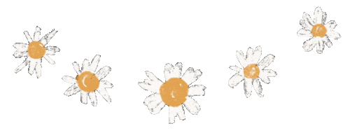 Summer Flower Sticker
