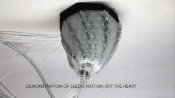 robots soft robotics GIF by PRI